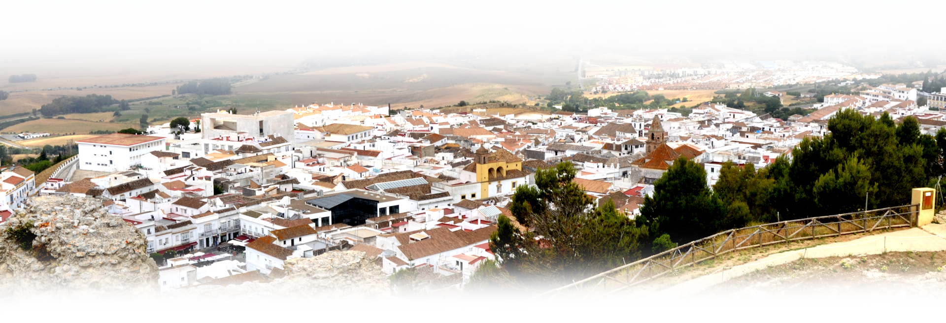 Medina Global — servicios municipales