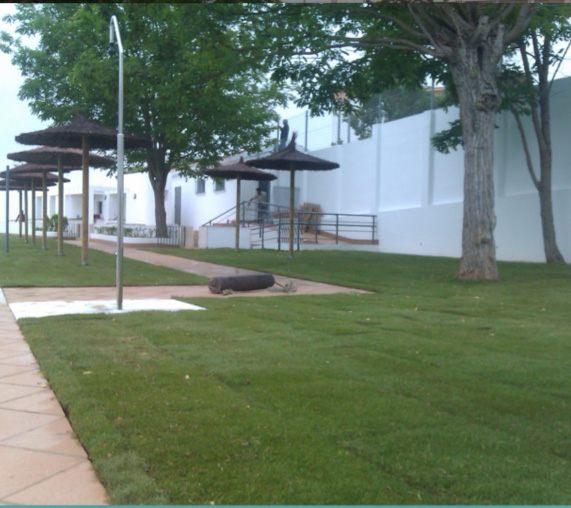 Piscina de verano 3