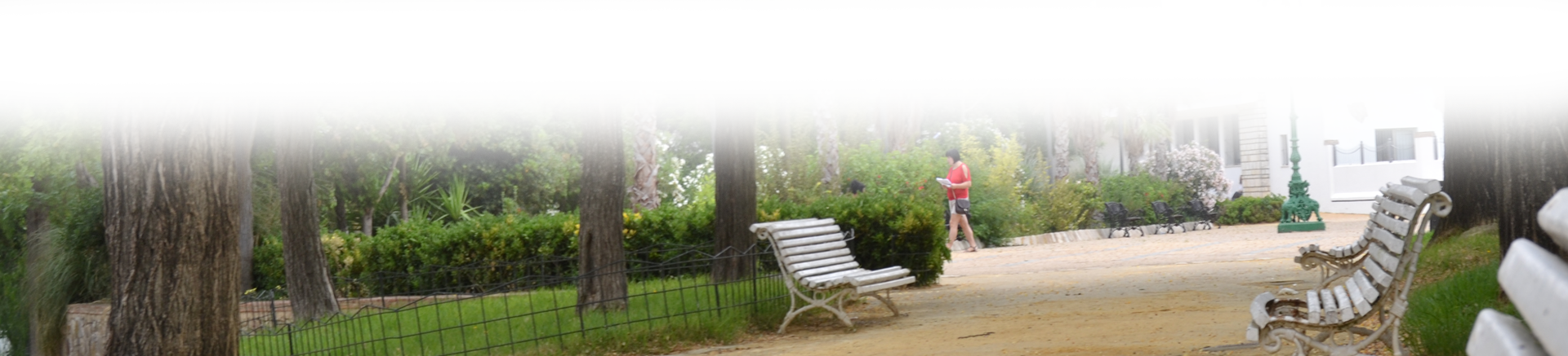 PARQUES Y JARDINES